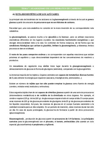 Tema-7-Anabolismo-de-los-Hidratos-de-Carbono.pdf