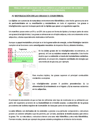 Tema-8-Metabolismo-Lipidico.pdf