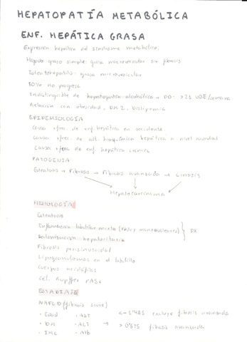 Hepatopatia-metabolica.pdf