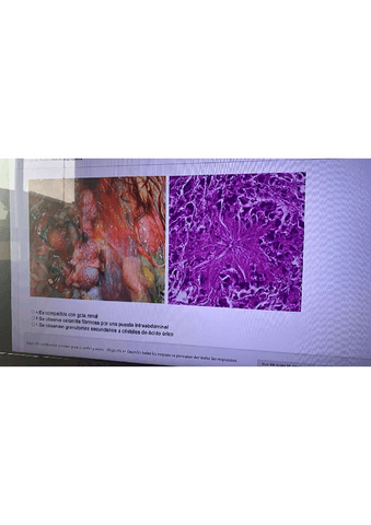 EXAMEN-3-PARCIAL--PRACTICO.pdf