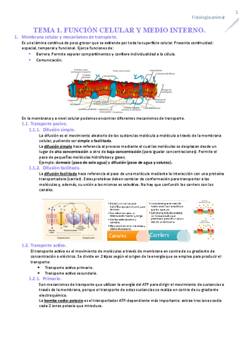 TEMA-1-FISIOLOGIA.pdf