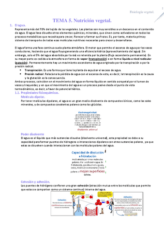 TEMA-5-FISIOLOGIAa.pdf