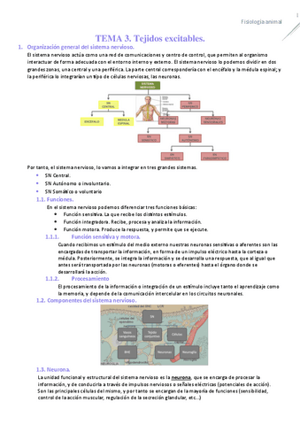 TEMA-3-FISIOLOGIA.pdf