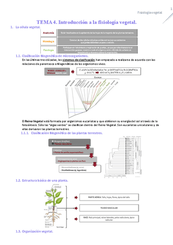 TEMA-4-FISIOLOGIA.pdf
