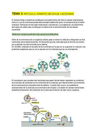 BIOLOGIA-CELULAR-tema-3.pdf