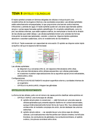 BIOLOGIA-CELULAR-tema-9.pdf