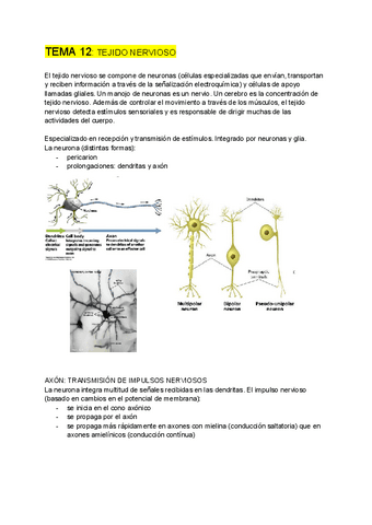 BIOLOGIA-CELULAR-tema-12.pdf