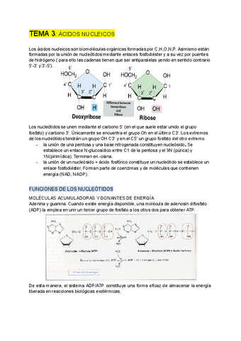 GENETICA-tema-3.pdf