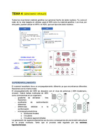 GENETICA-tema-4.pdf