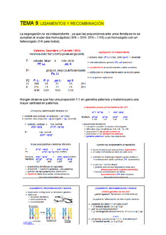 GENETICA-tema-9.pdf