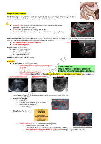 Ecografia-de-pancreas.pdf