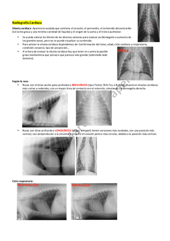 Radiografia-Cardiaca.pdf