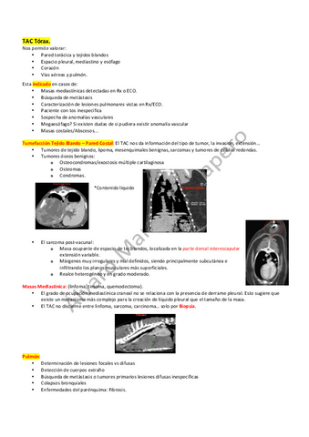 TAC-Torax.pdf