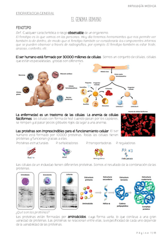 patologia-medica.-EL-GENOMA-HUMANO-Y-EL-CANCER-imp.pdf