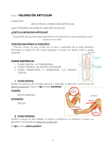 CINESIOLOGIA-TEMARIO.pdf