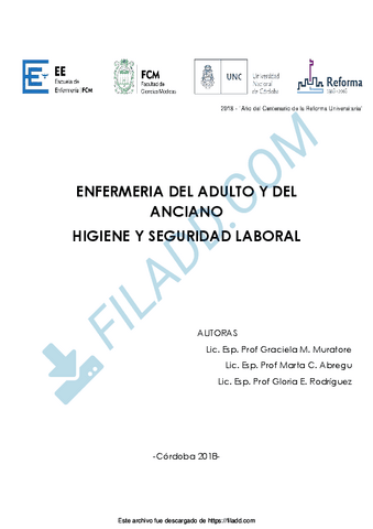 Apunte-Higiene-y-seguridad-laboral-2019-1.pdf