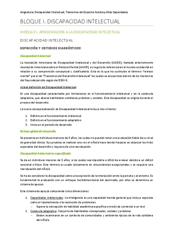 Discapacidad-Intelectual.pdf