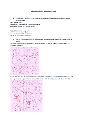 Examen-practico-Repro-junio-2023.pdf