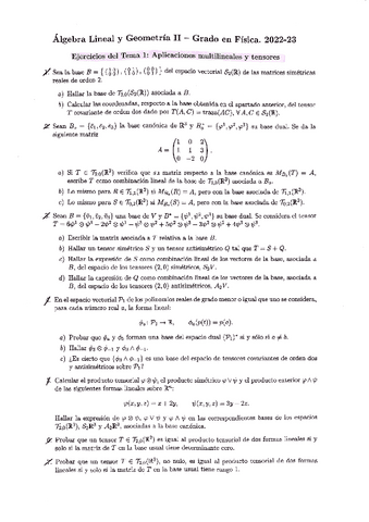 Ejercicios-del-Tema-1.-Aplicaciones-multilineales-y-tensores.pdf