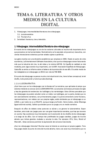 TEMA-6.pdf