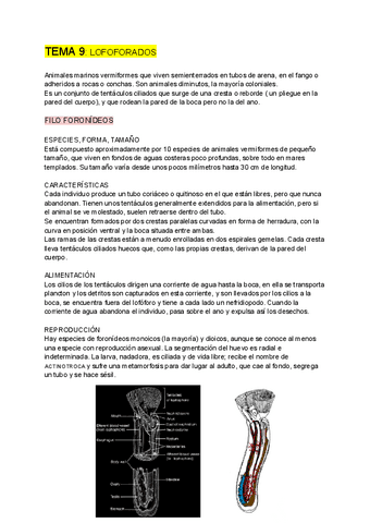 ZOOLOGIA-tema-9.pdf