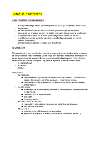 ZOOLOGIA-tema-11.pdf