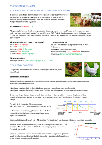 EXAMEN-RESUM COMPLET-PPM-ANIMAL.pdf