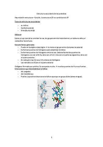 Tema-3-Estructura-secundaria-de-las-proteinas.pdf
