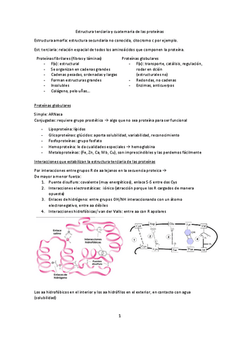 Tema-4-Estructura-terciaria-y-cuaternaria-de-las-proteinas.pdf