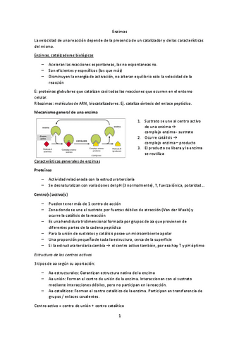 Tema-5-Enzimas.pdf
