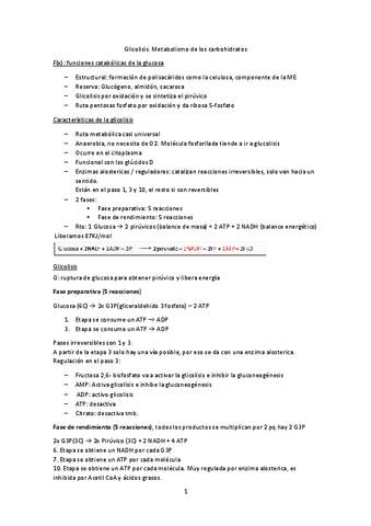 Tema-14-Glicolisis.-Metabolismo-de-carbohidratos.pdf