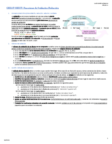 8.-Reacciones-de-Oxidacion-Reduccion.pdf