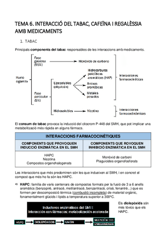 TEMA-6-IMP.pdf