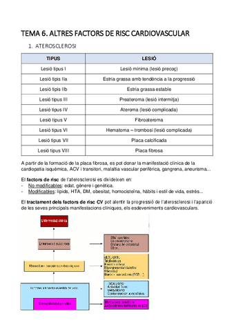 TEMA-6-IMP.pdf