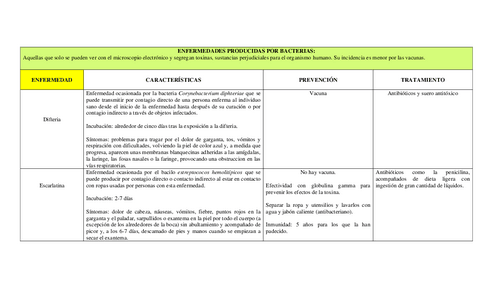 ENFERMEDADES-PRODUCIDAS-POR-BACTERIAS-Y-VIRUS.pdf
