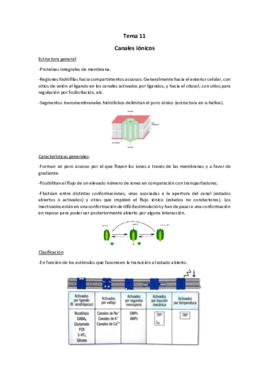 Tema 11.pdf