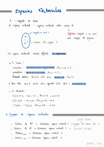 Tema-2-Espacios-vectoriales.pdf