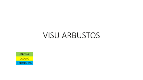 VISU-ARBUSTOS-Detalle.pdf