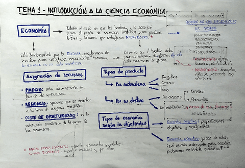 Direccion-de-Empresas-Esquemas-Temas-1-8.pdf