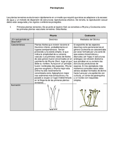 Pteridophytas.pdf