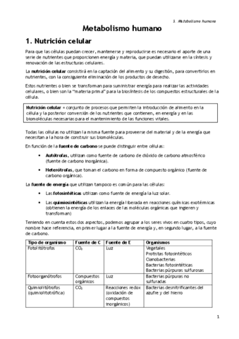 Tema-3.-Metabolismo.pdf