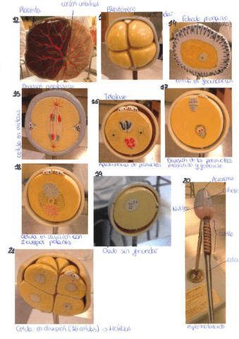 20161102101342618.pdf