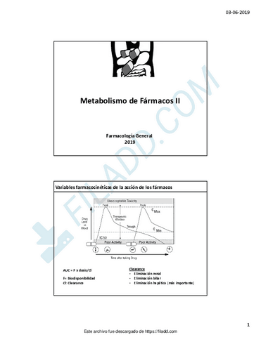 MetabolismoII.pdf