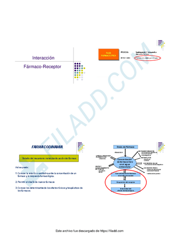 TeoriaReceptores2019.pdf