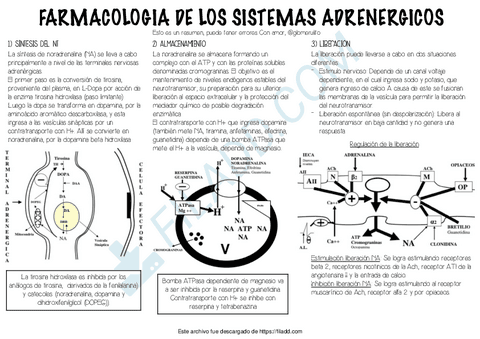 7Adrenergicos.pdf