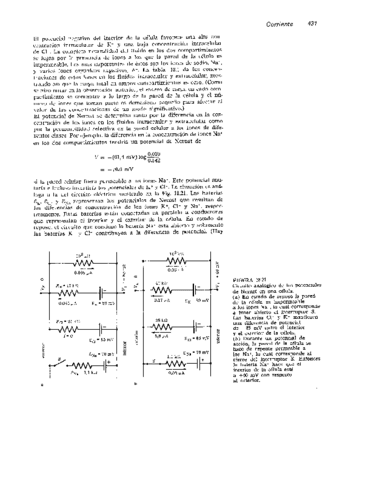 Biomecanica-podo-49.pdf