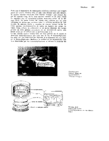 Biomecanica-podo-57.pdf