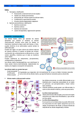 T2.1-2.2-TEJIDO-EPITELIAL.pdf