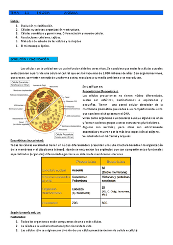 T1.1-LA-CELULA.pdf