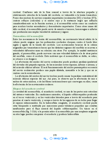 Hipocampo-y-hipotalamo-10.pdf